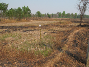 Extention from Nongtakian klong to Chokchai before excavation